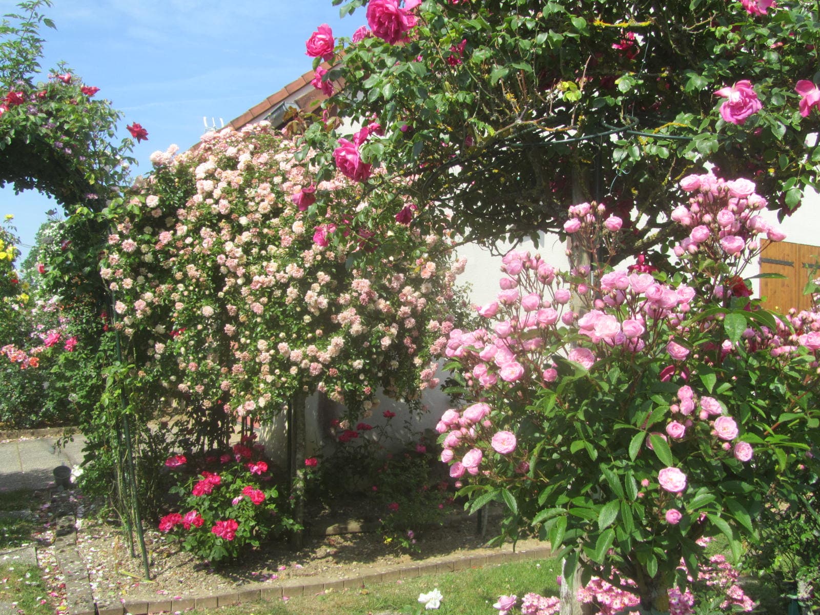 Entrée de la roseraie