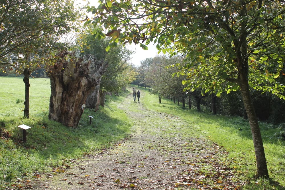 MaisonBotanique-Chemin-des-Trognes-Boursay