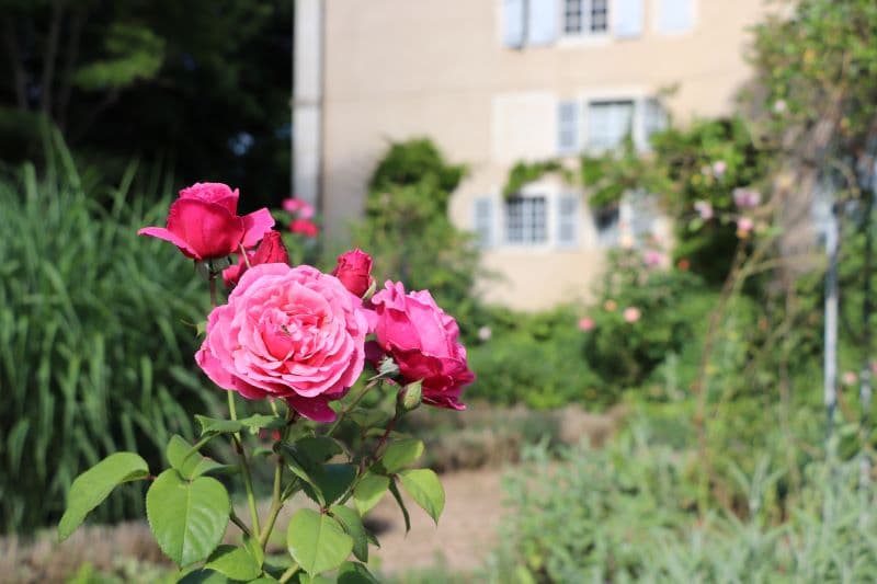 Domaine de George Sand Nohant