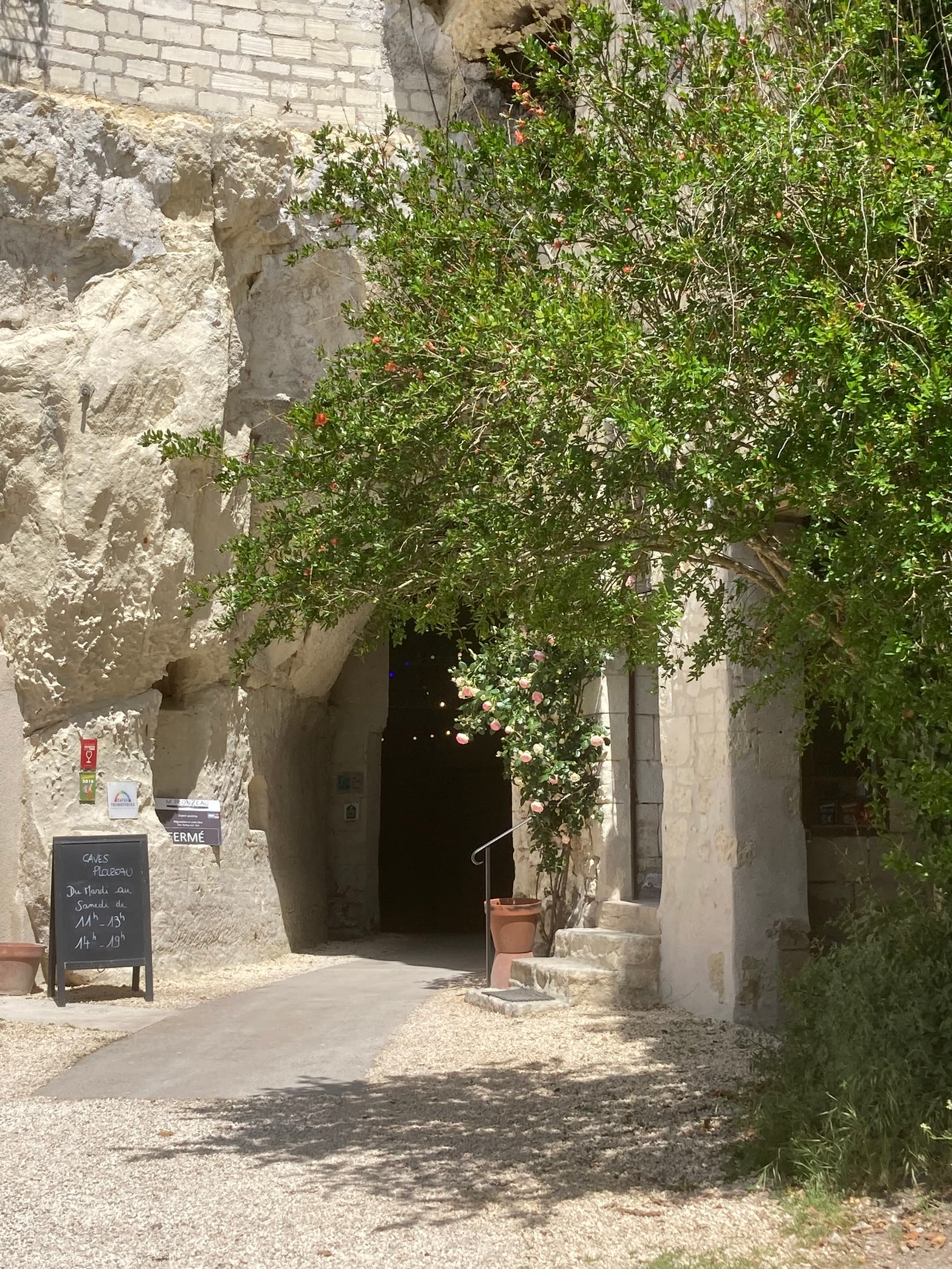 Cave Plouzeau - Chinon