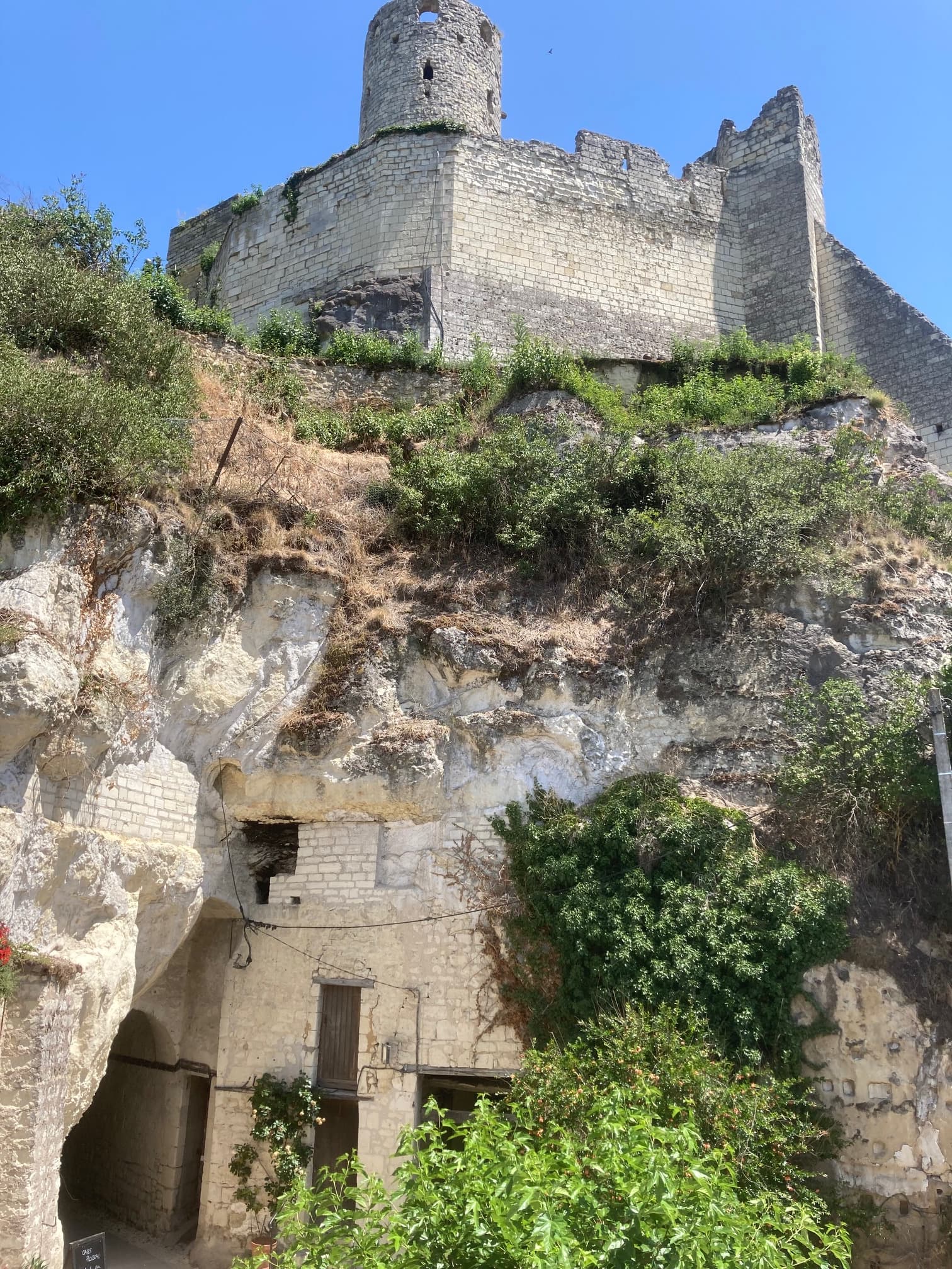 Cave Plouzeau - Chinon