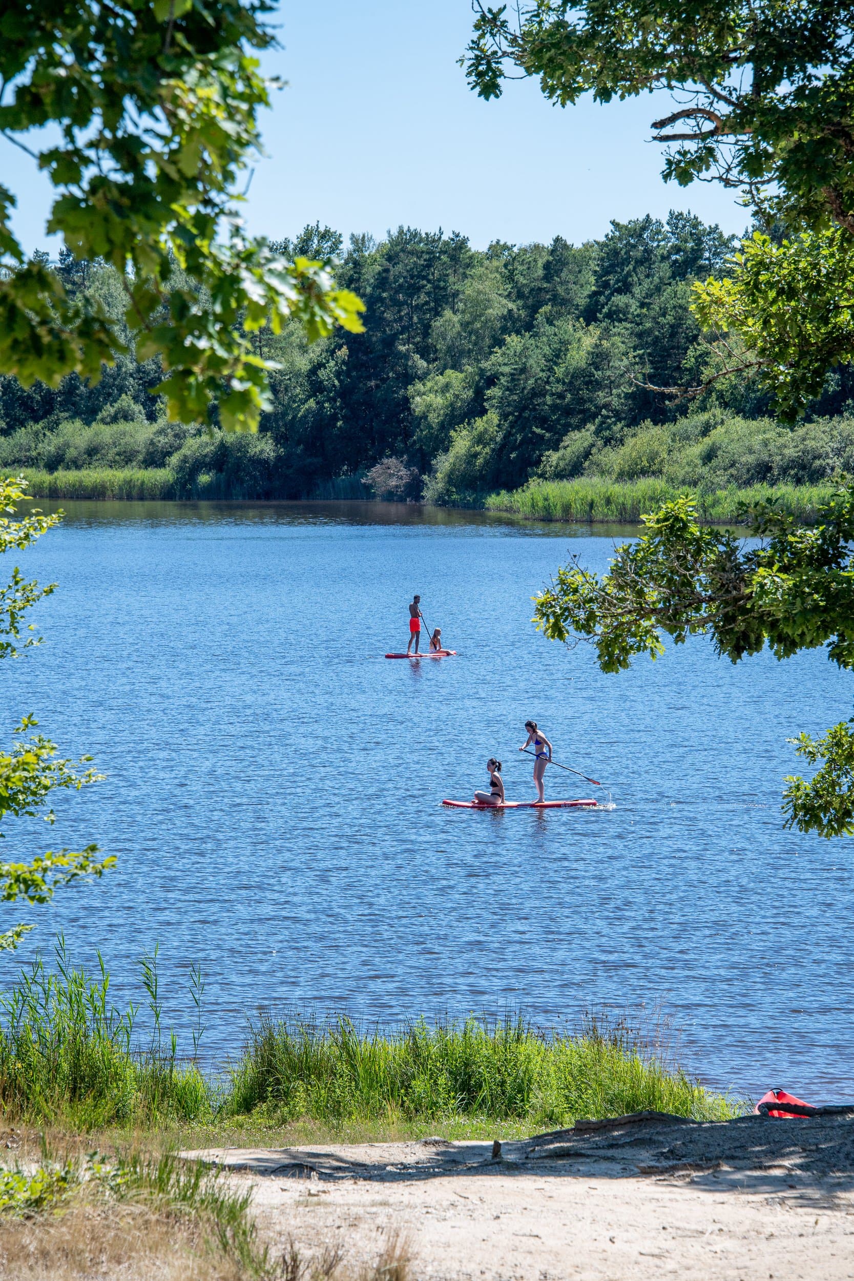STAND UP PADDLE