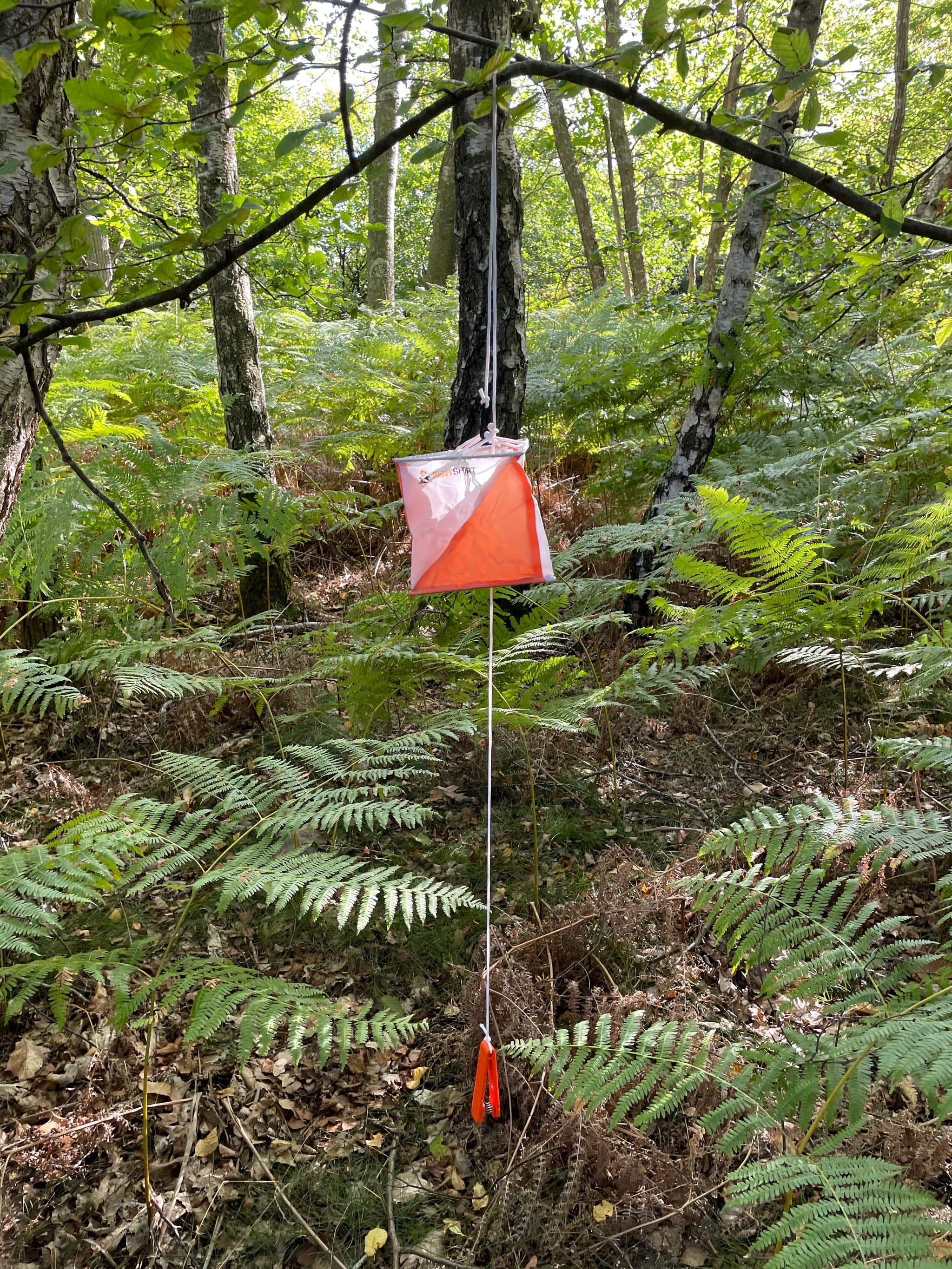 COURSE D'ORIENTATION