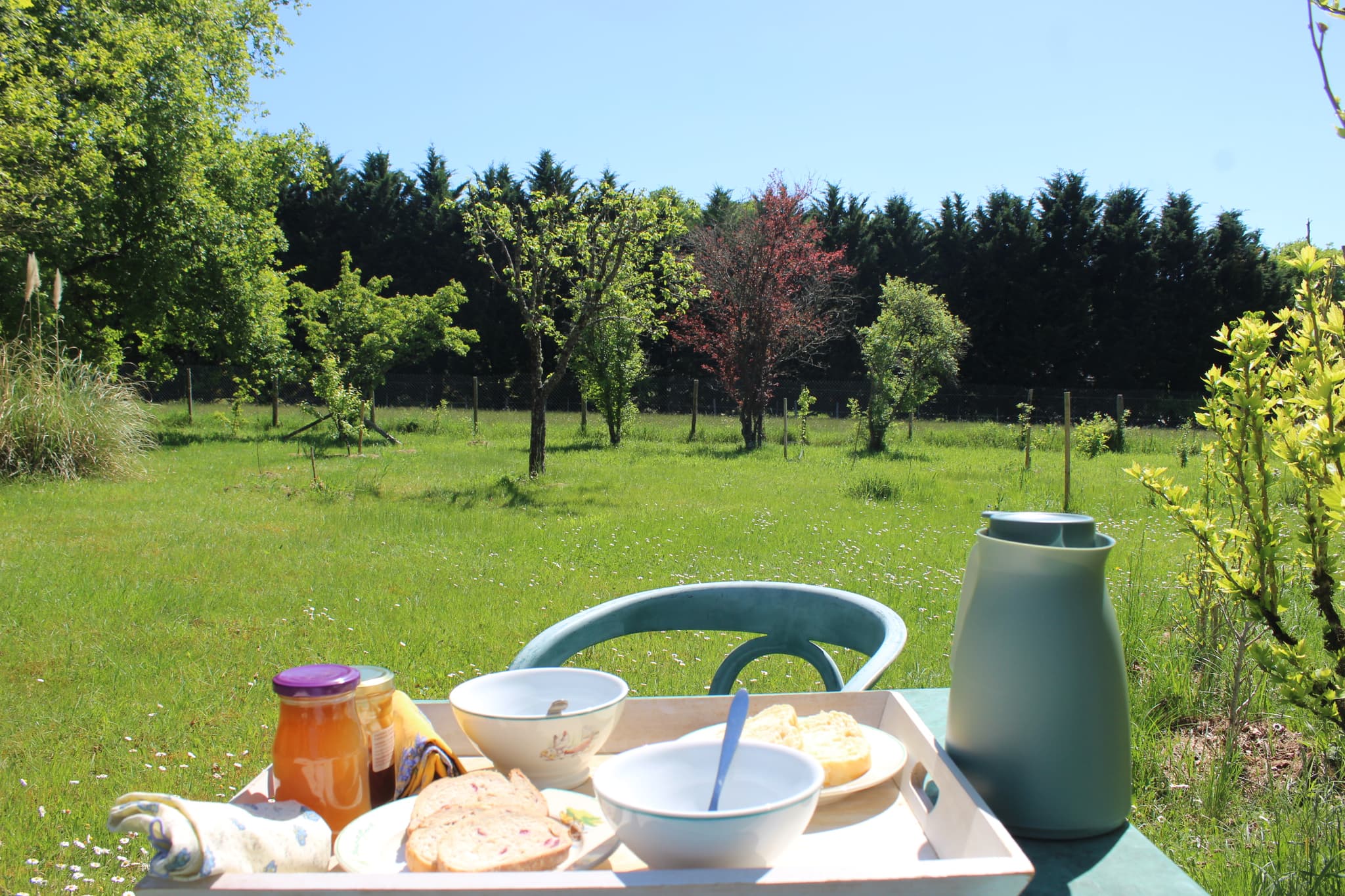 petit déjeuner dans le jaridn