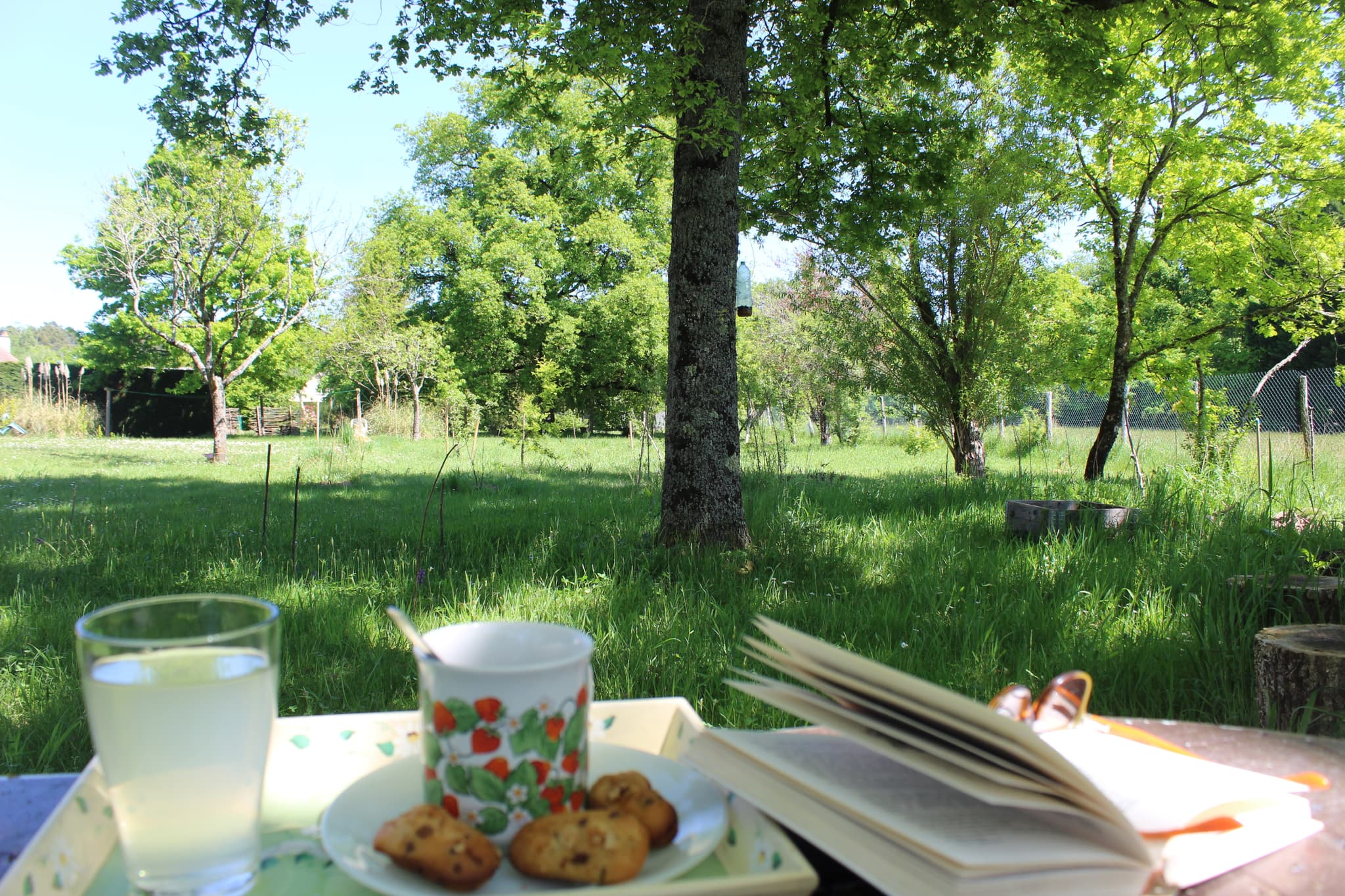 Pause dans le jardin