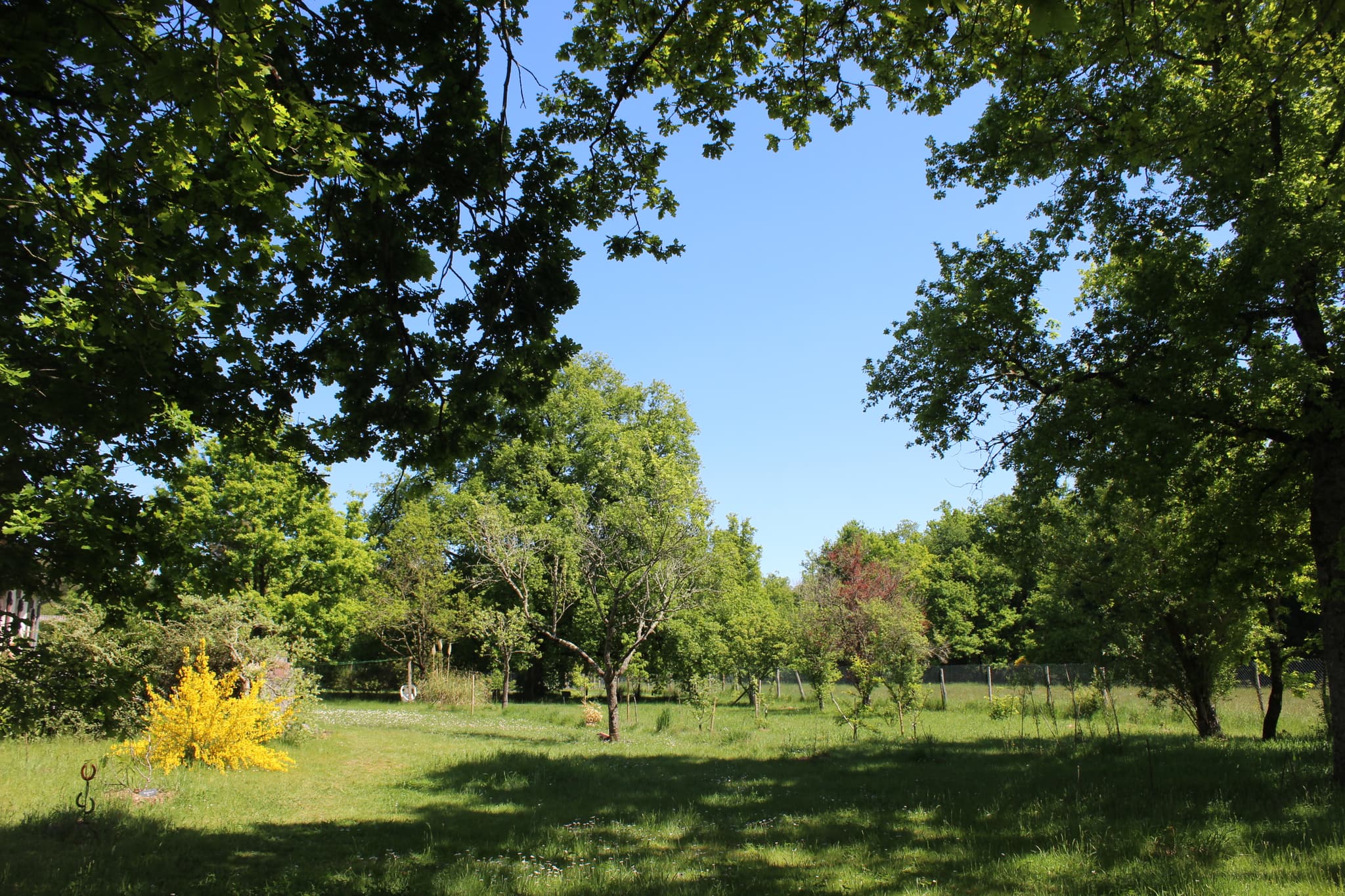 Le jardin