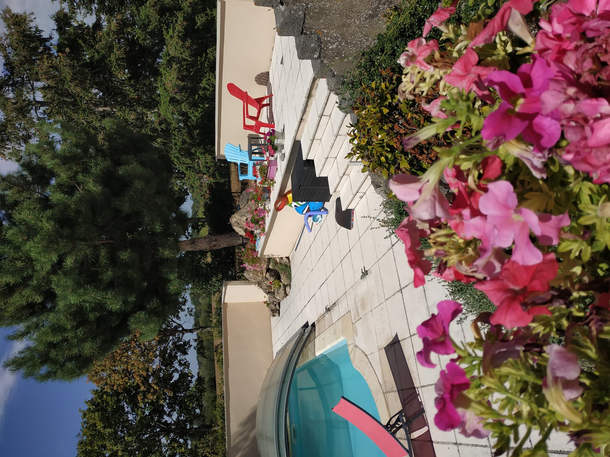 Dammarie en Puisaye -Gîte -Piscine