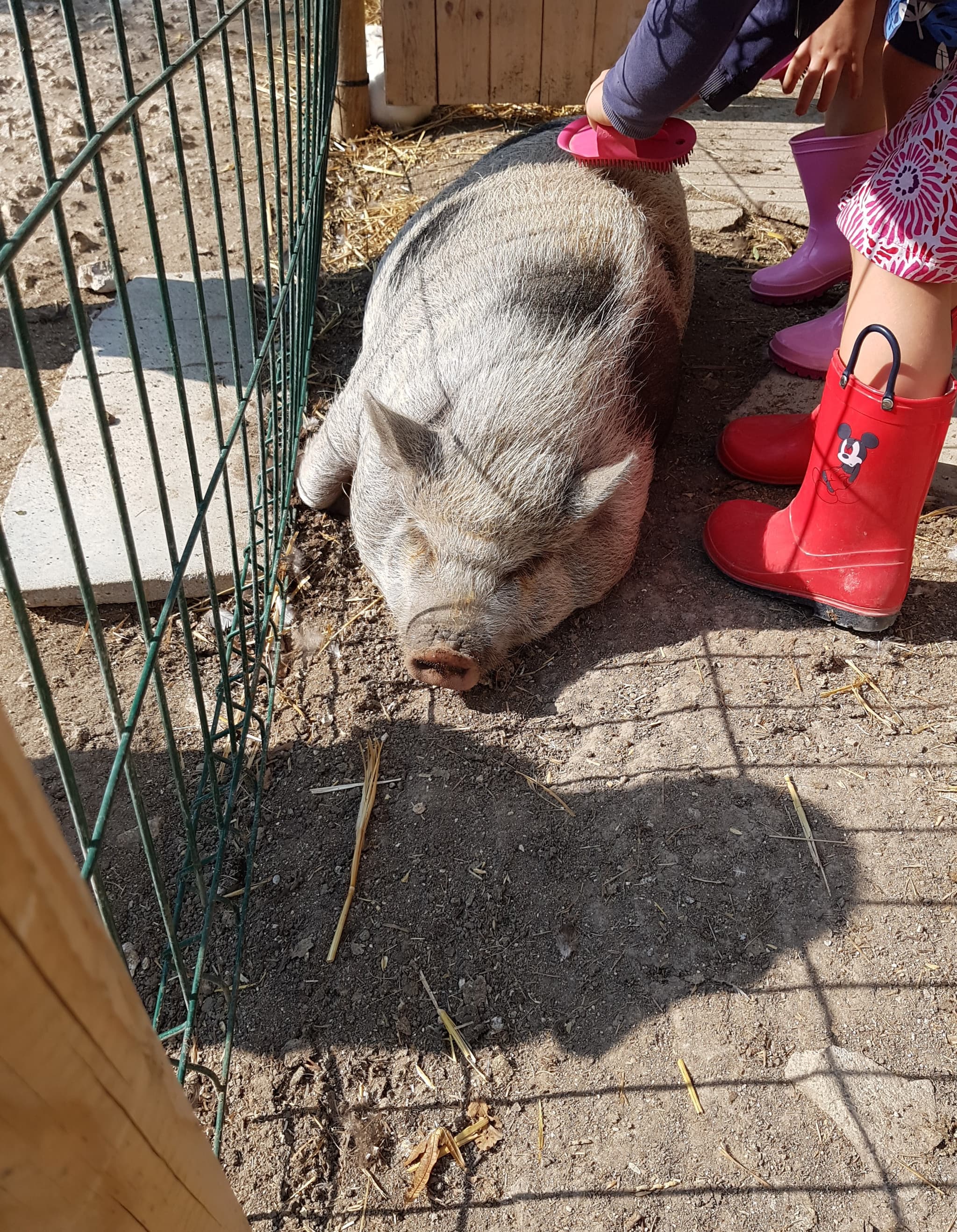 La Ferme Coqalane - Cracotte
