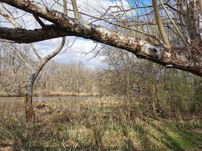 tourisme-sologne-site naturel-villeherviers-le baltan9