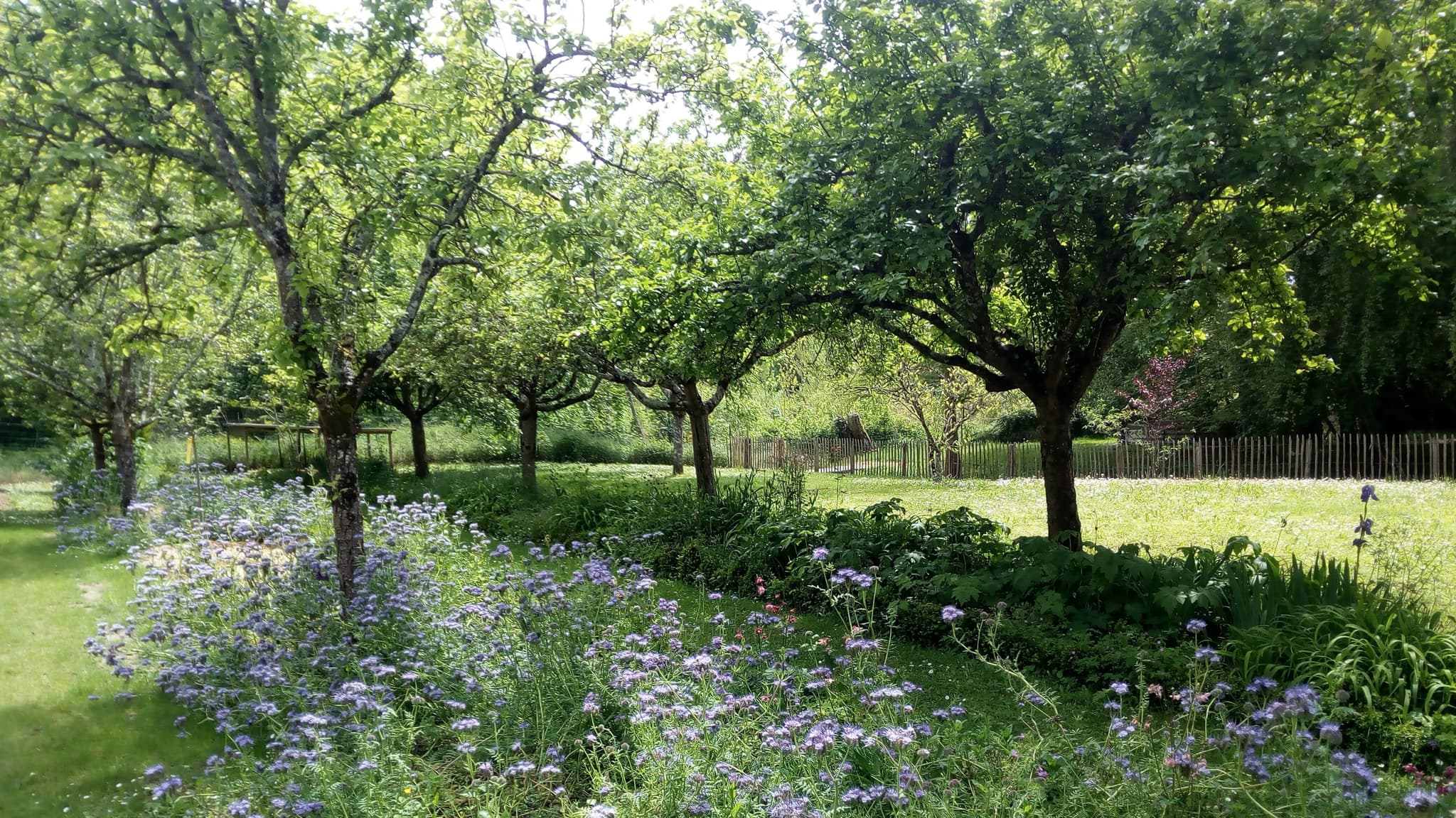 jardin du gite au jardin de grand-pere
