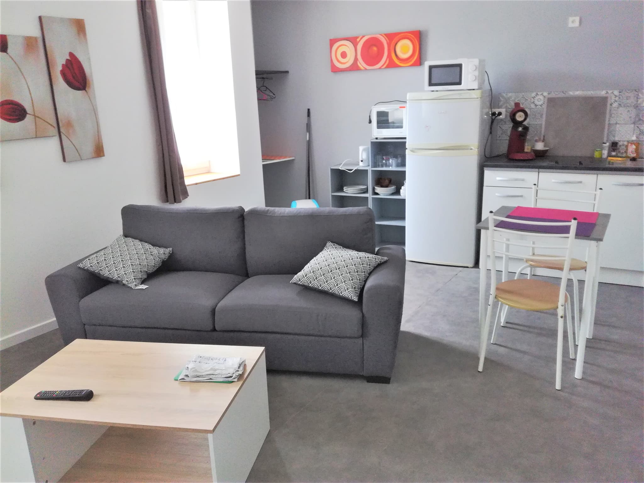 Chatillon sur Loire - gite le cocoon 4 - salon séjour