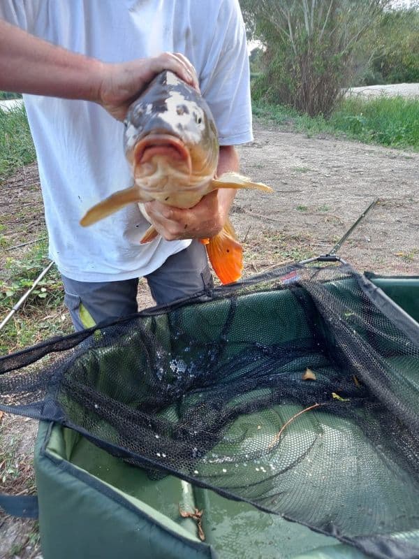 Pêche au Domaine Coeur de Brenne