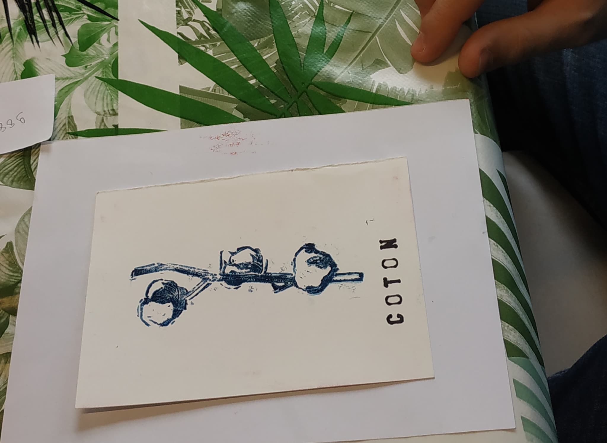 IMG_20230415_161156 rognée2
