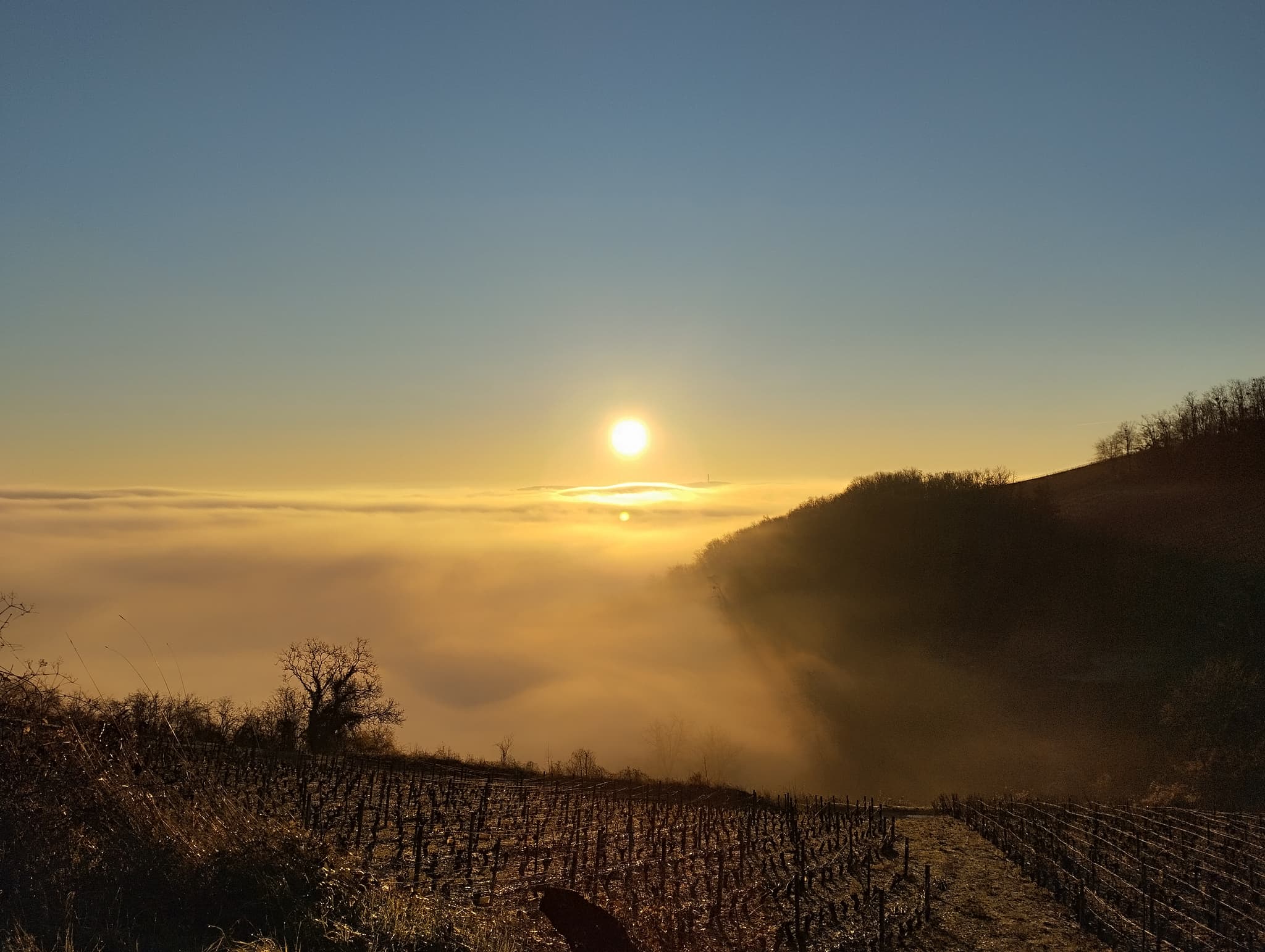 SANCERRE CHAVIGNOL