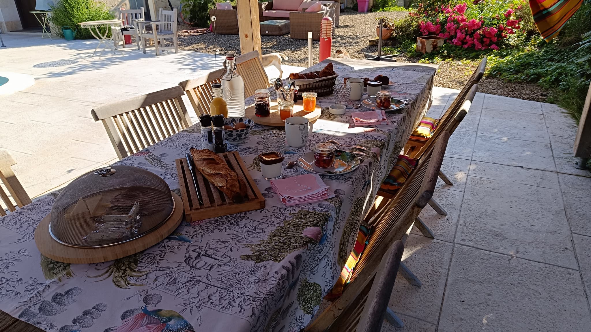 IMG_20240610_091741 (1)