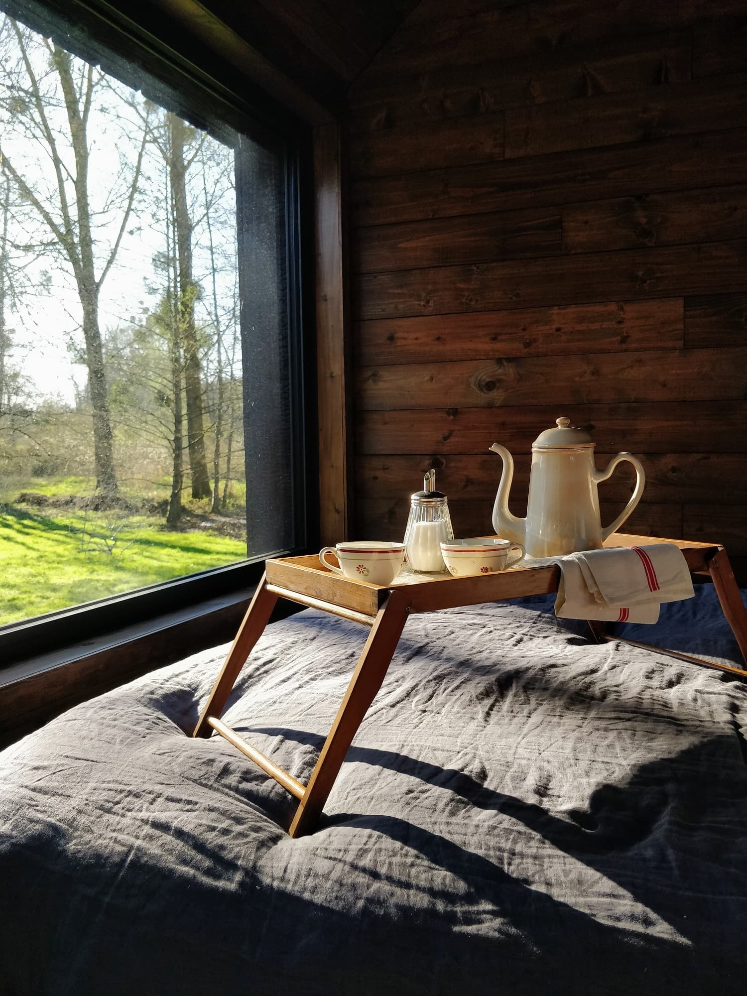Petit déjeuner avec vue sur le parc