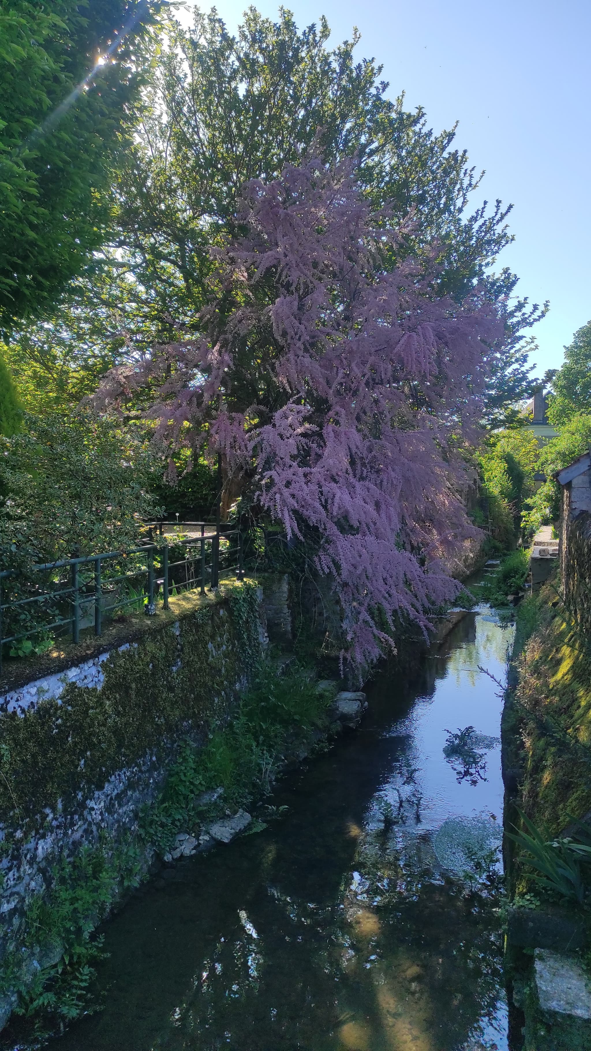 Le ruisseau