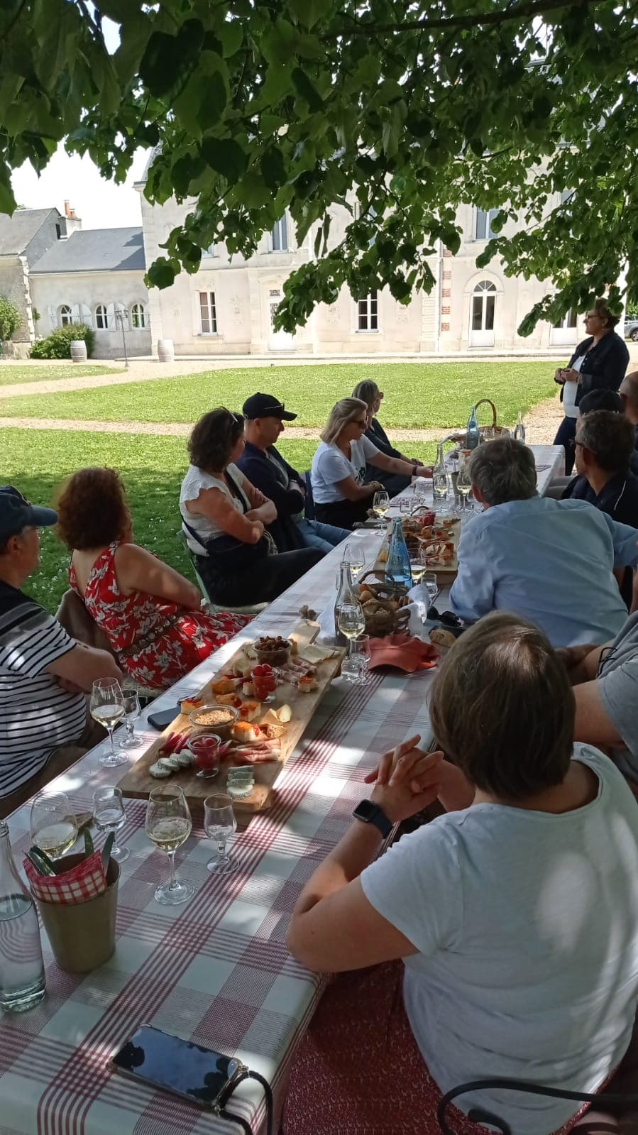 VIGNES VINS APERO