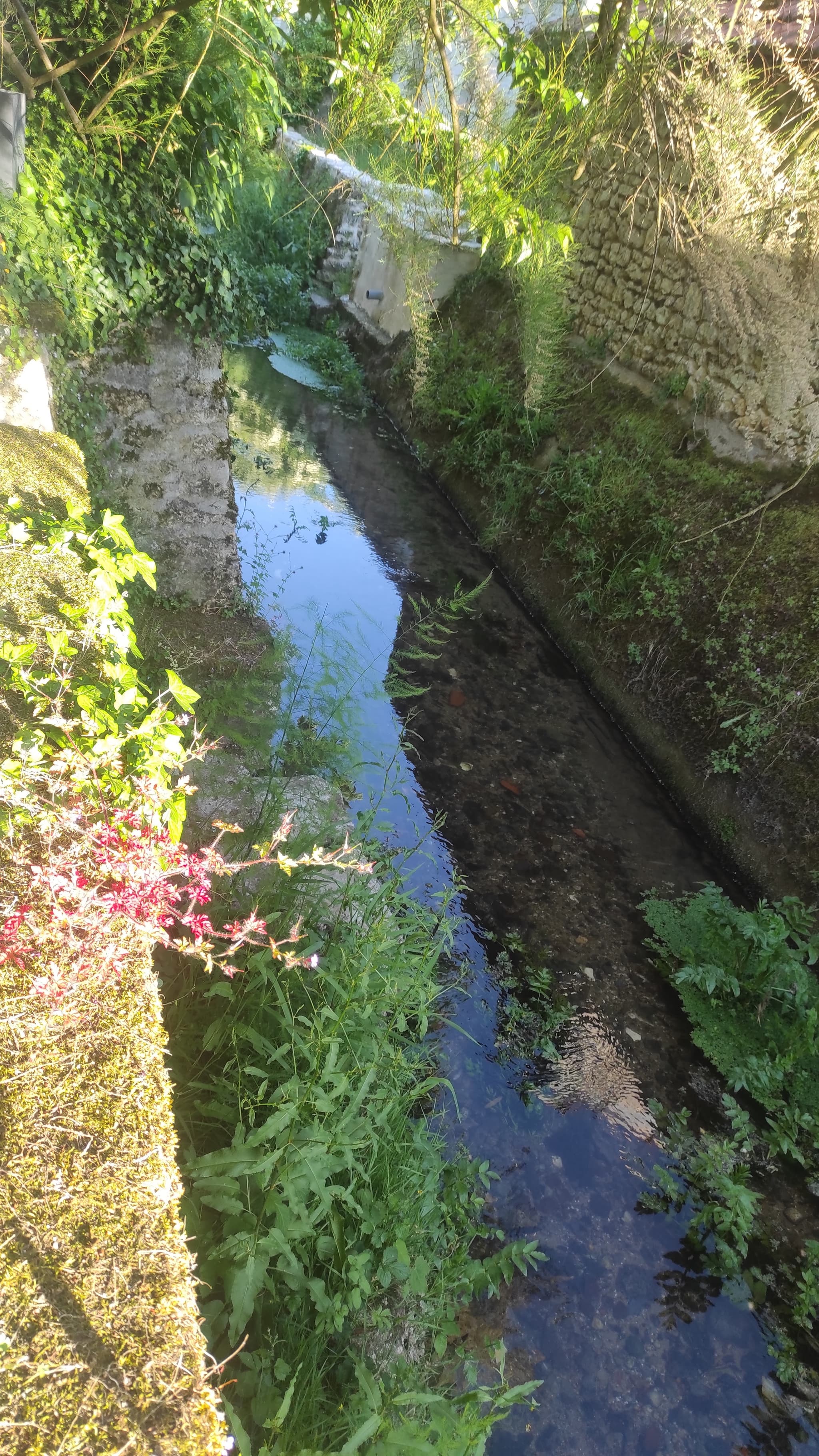 Le ruisseau