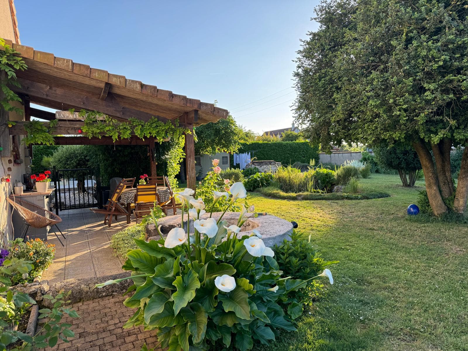 Vue du patio