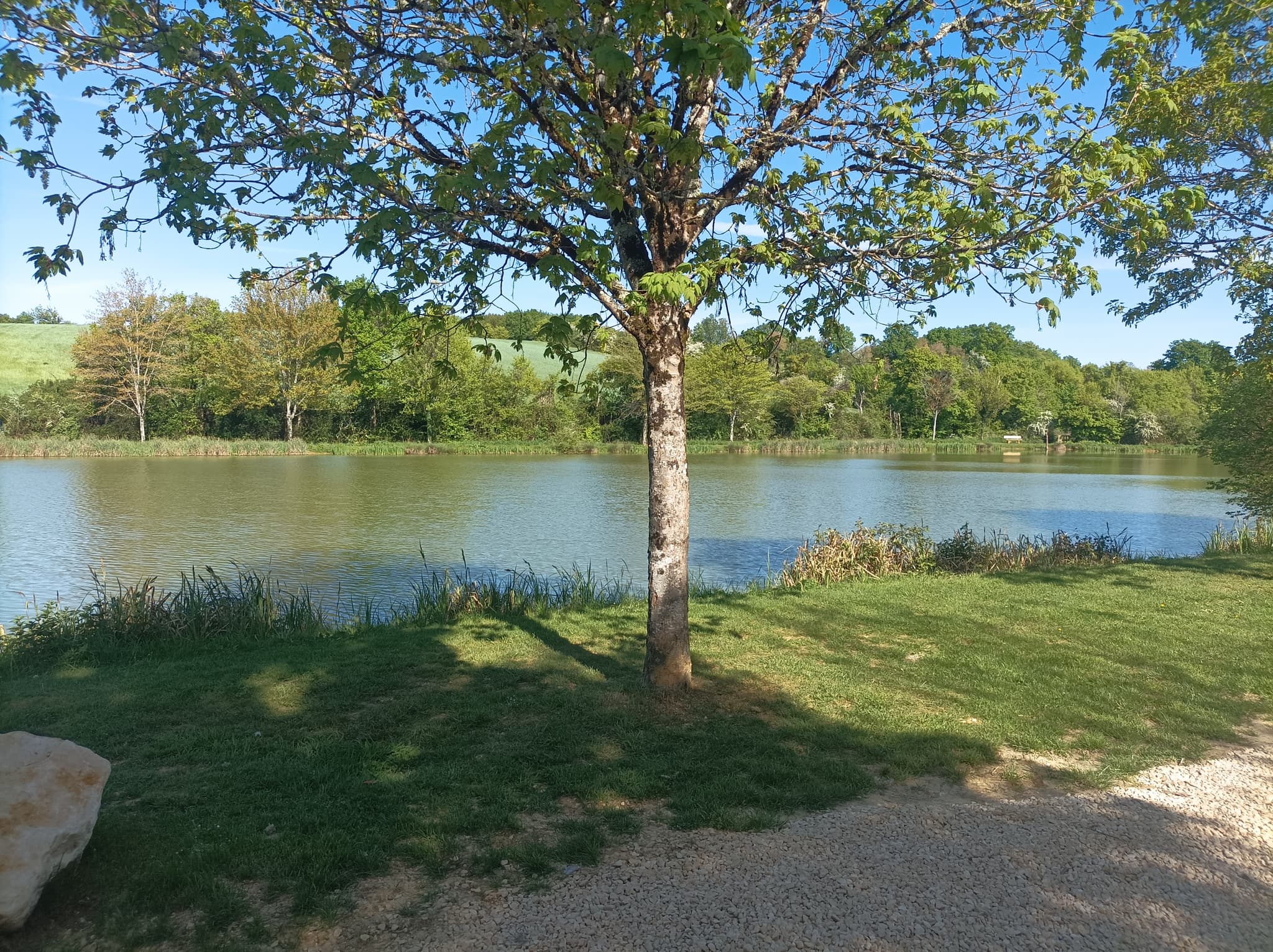 Etang de Farges