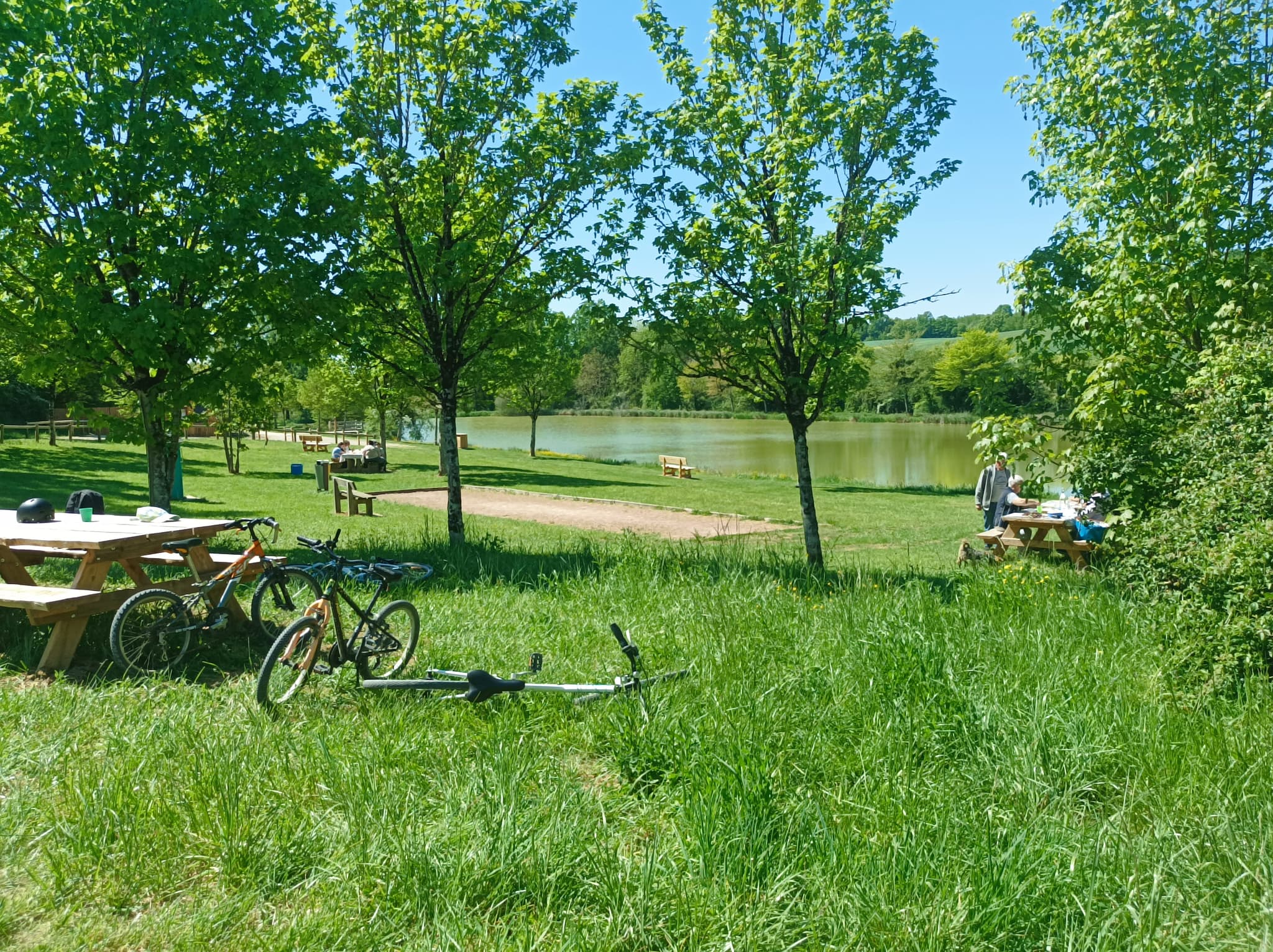 Etang de Farges