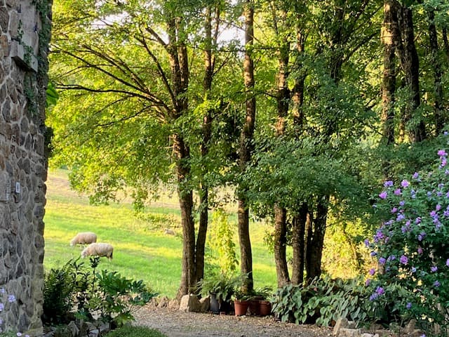 Domaine Le Haut Verger