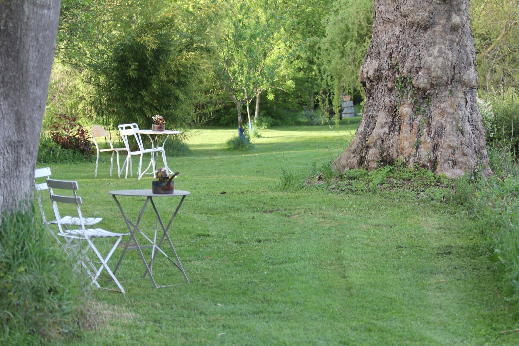 Jardin