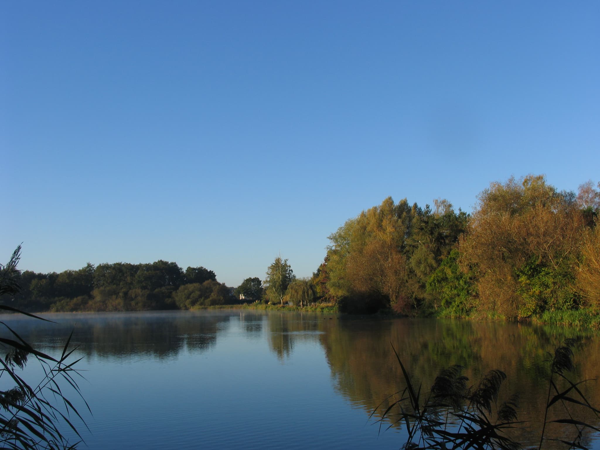étang de la Ville