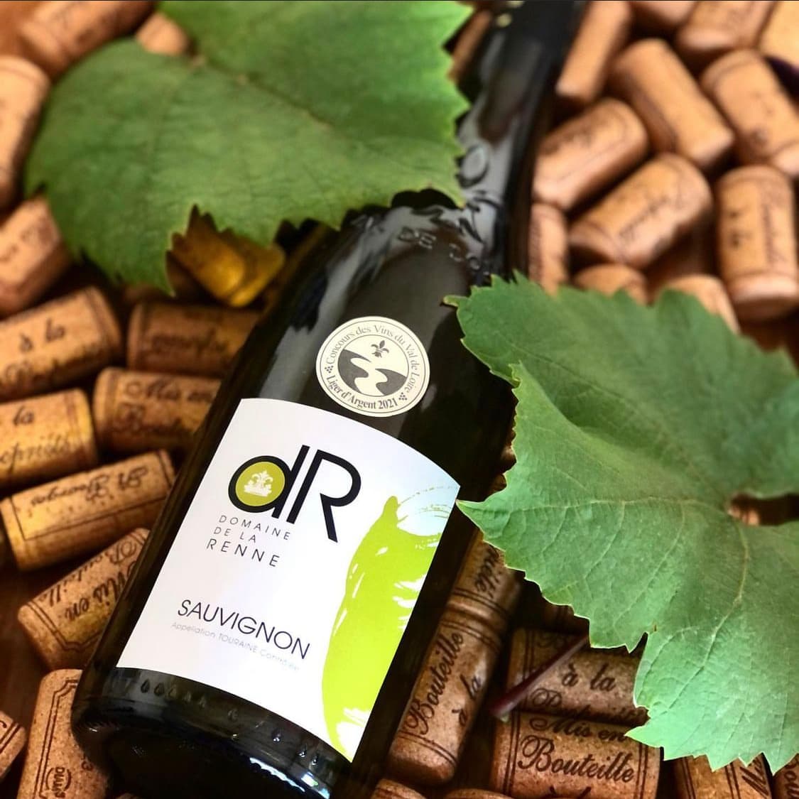 Sauvignon