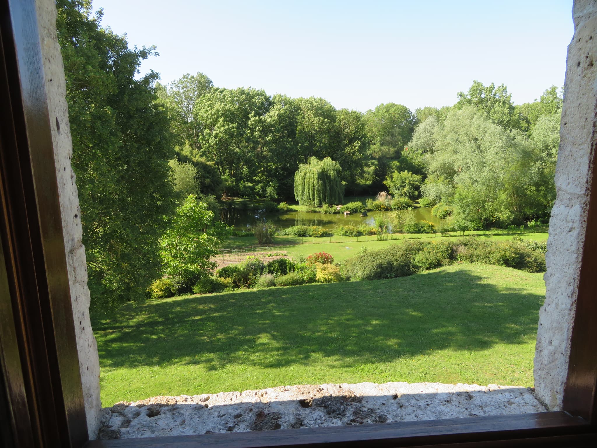 paysage de la tour