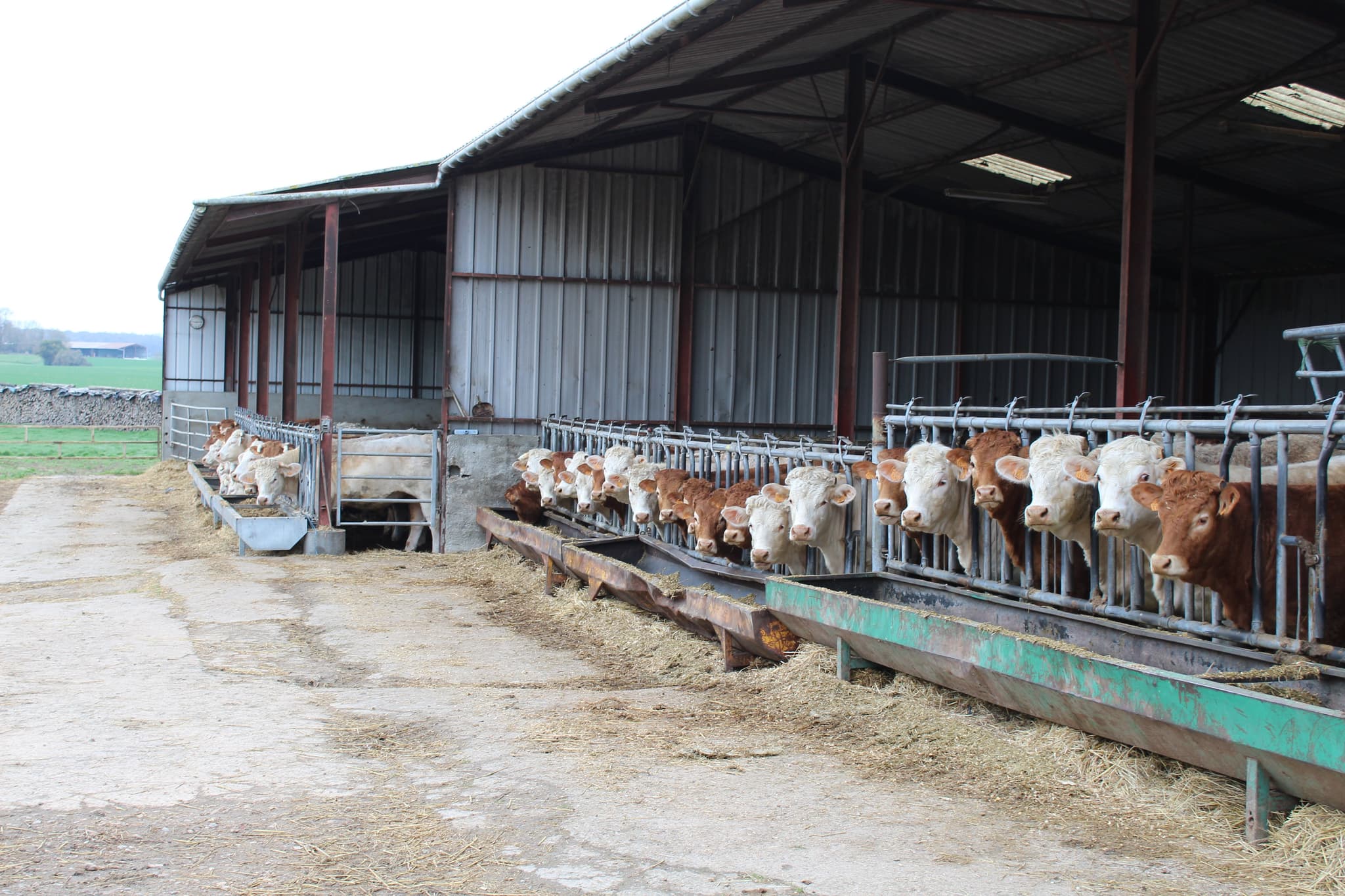 Ferme de Naudin Pascal