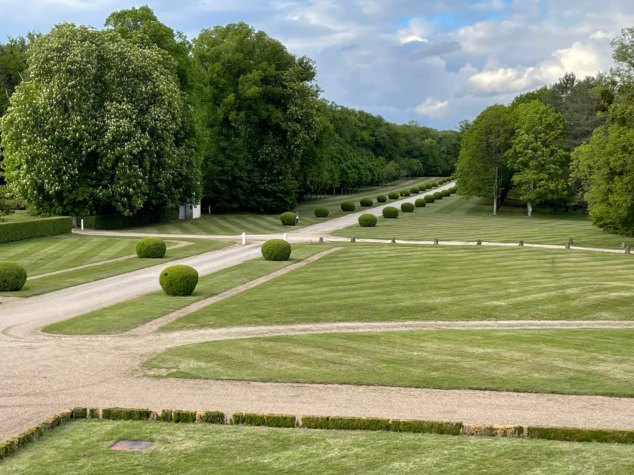 L'allée d'honneur dite de Chambord