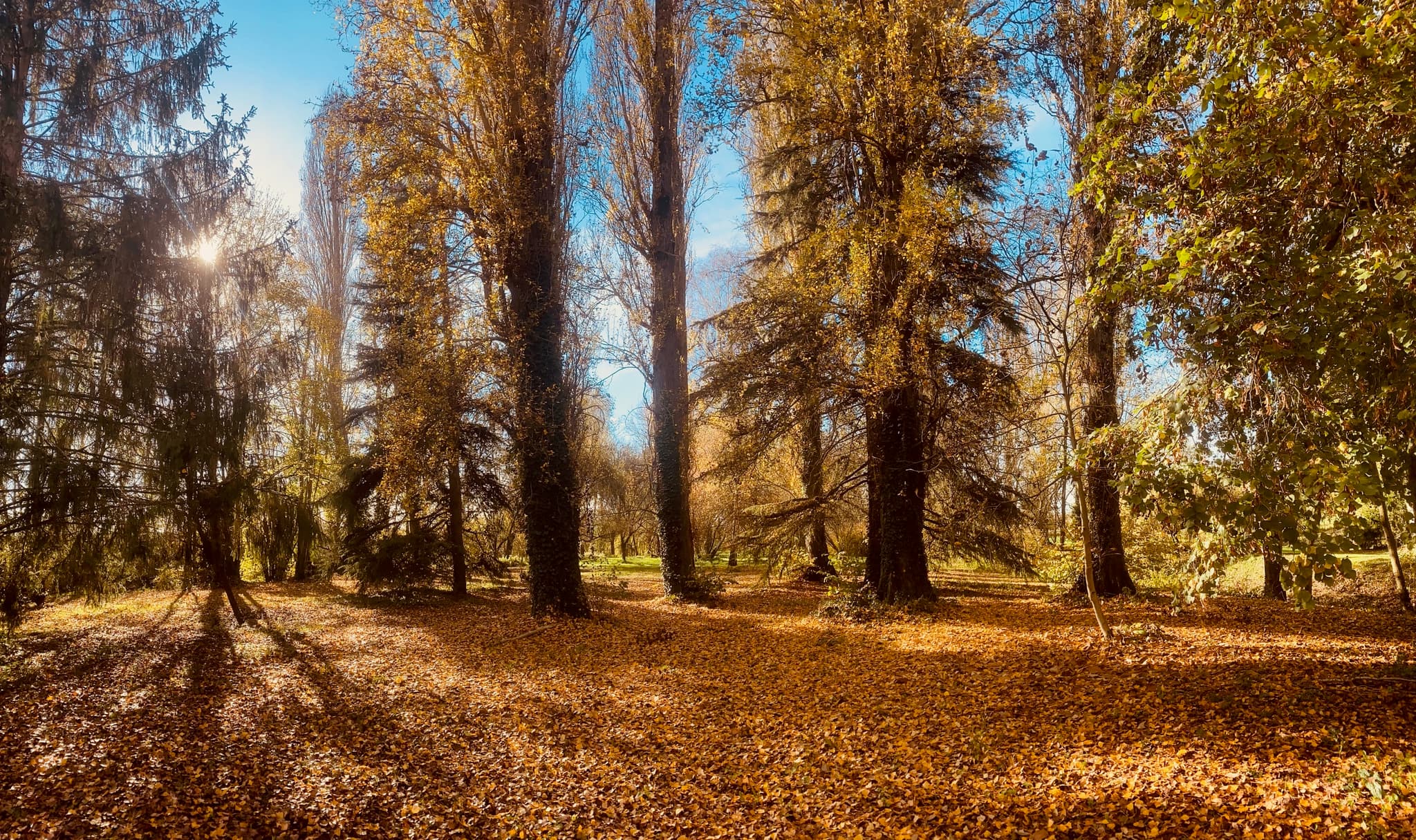 l'île en automne