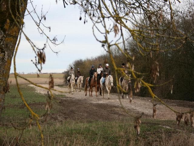 gatinais