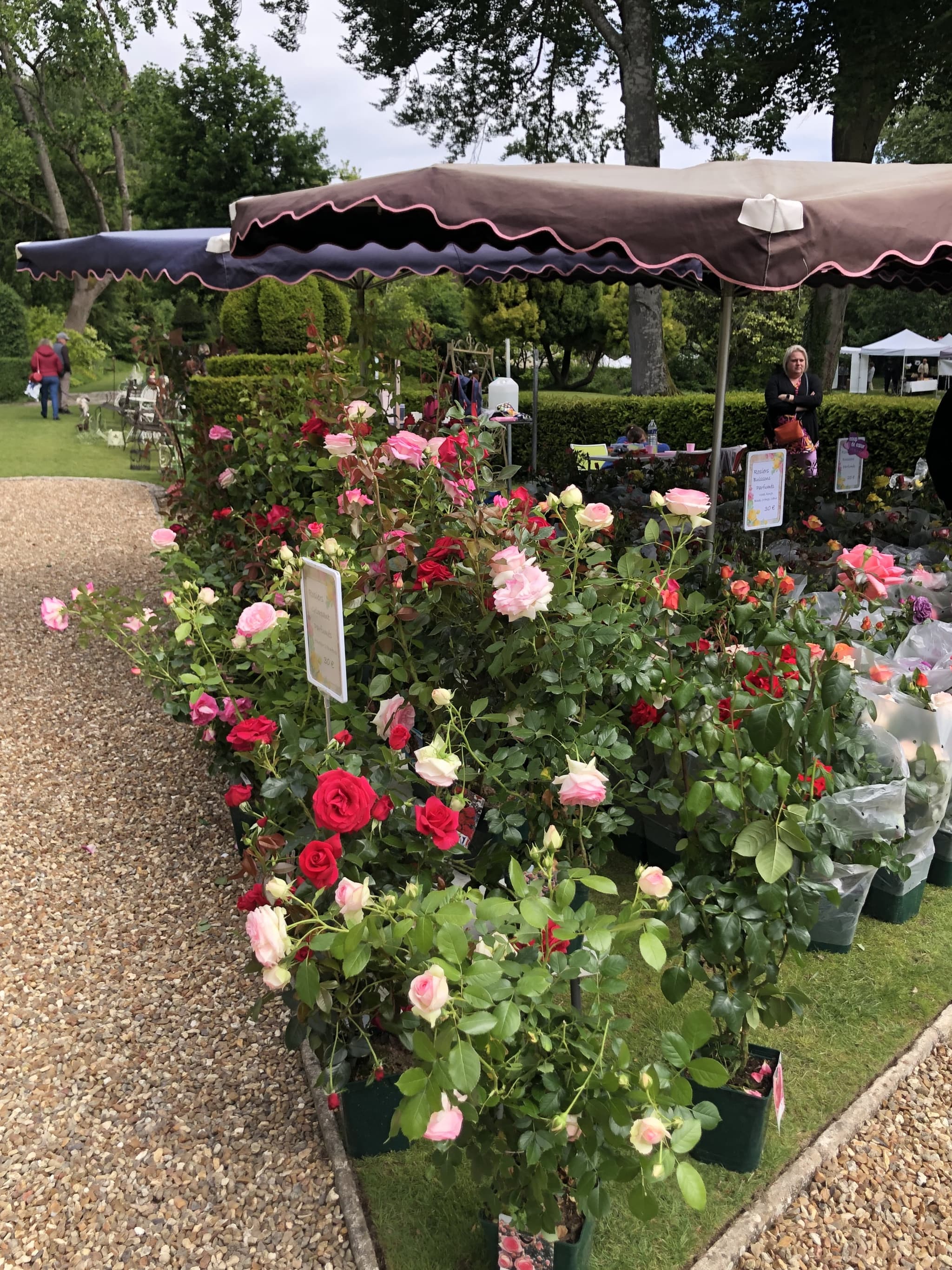 Marché aux plantes