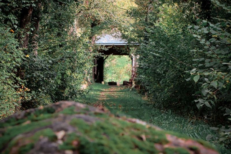Pont de bois couvert
