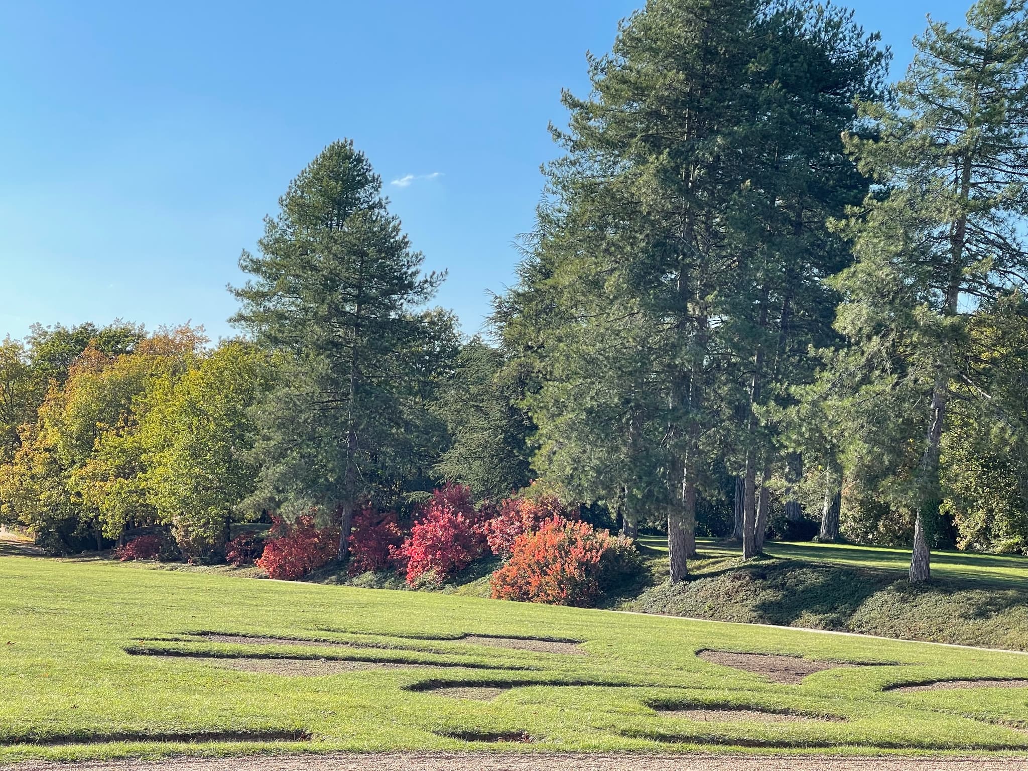 Le parterre de la Fleur dit de la fleur de Lys