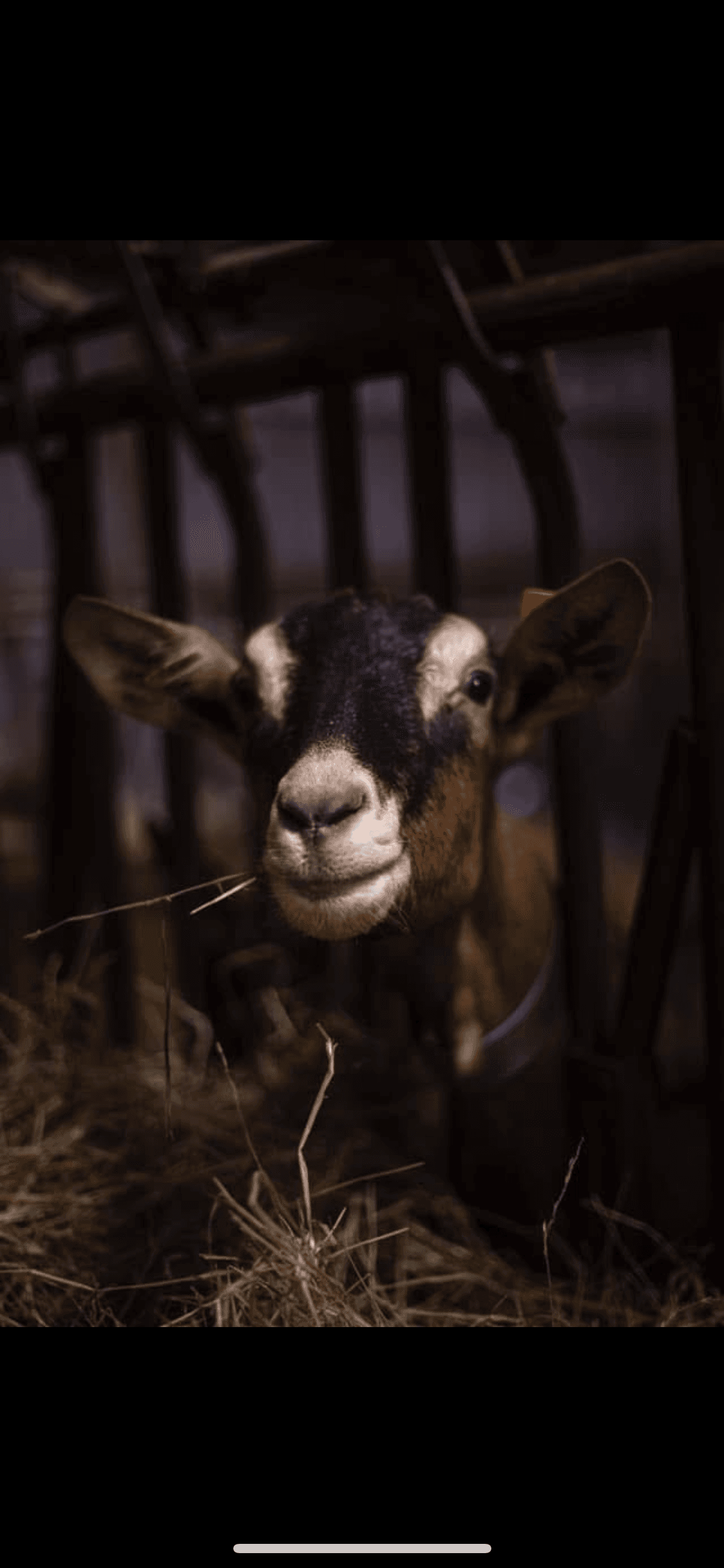 Ferme du Feulard