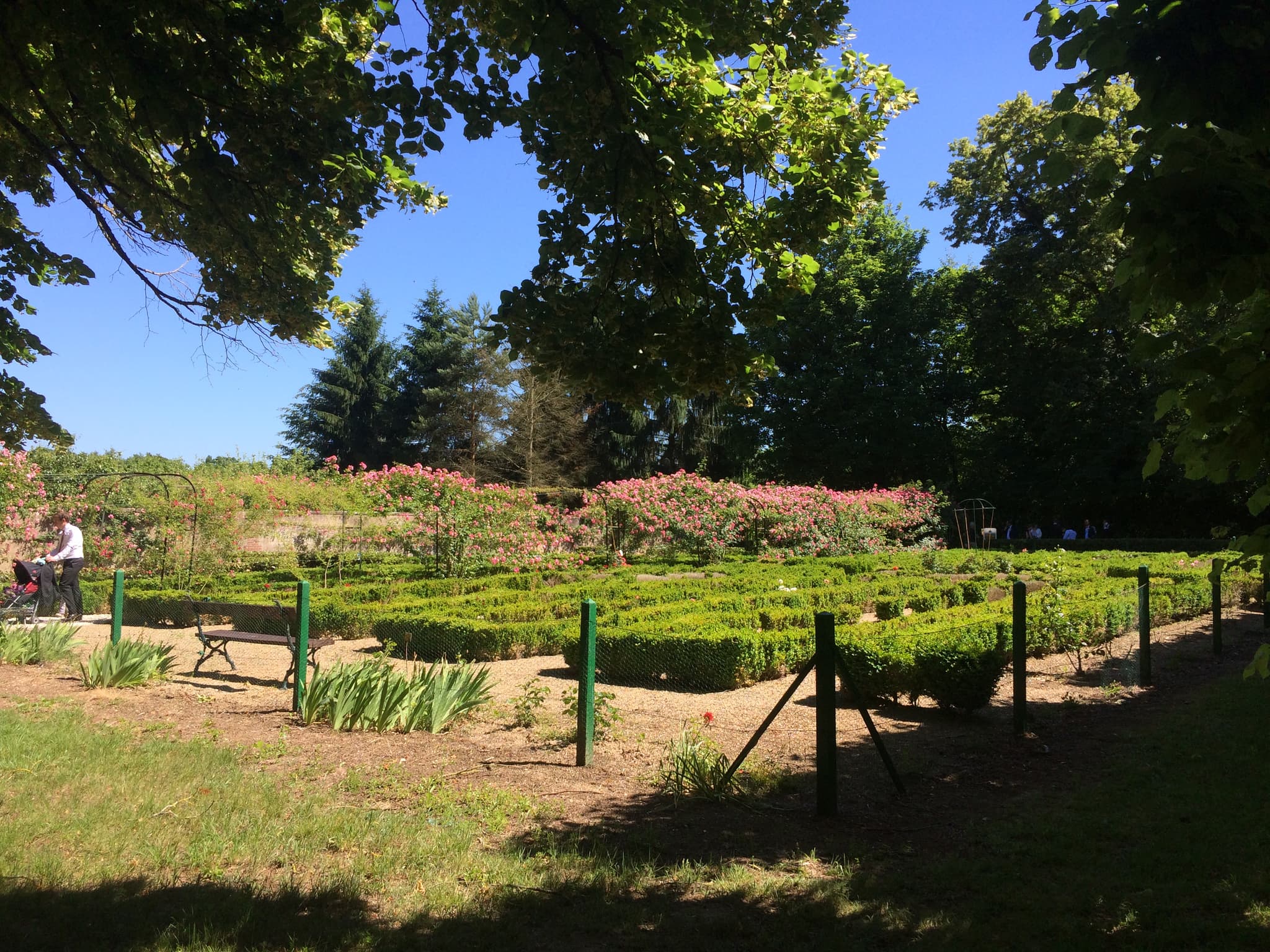 Ouzouer sur Trézée - Château de Pont-Chevron - jardin