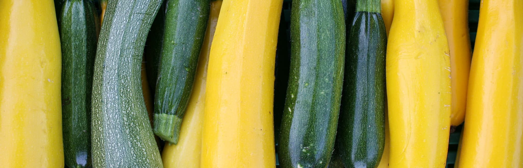 St FIRMIN SUR LOIRE - Du miel dans les salades-courgettes