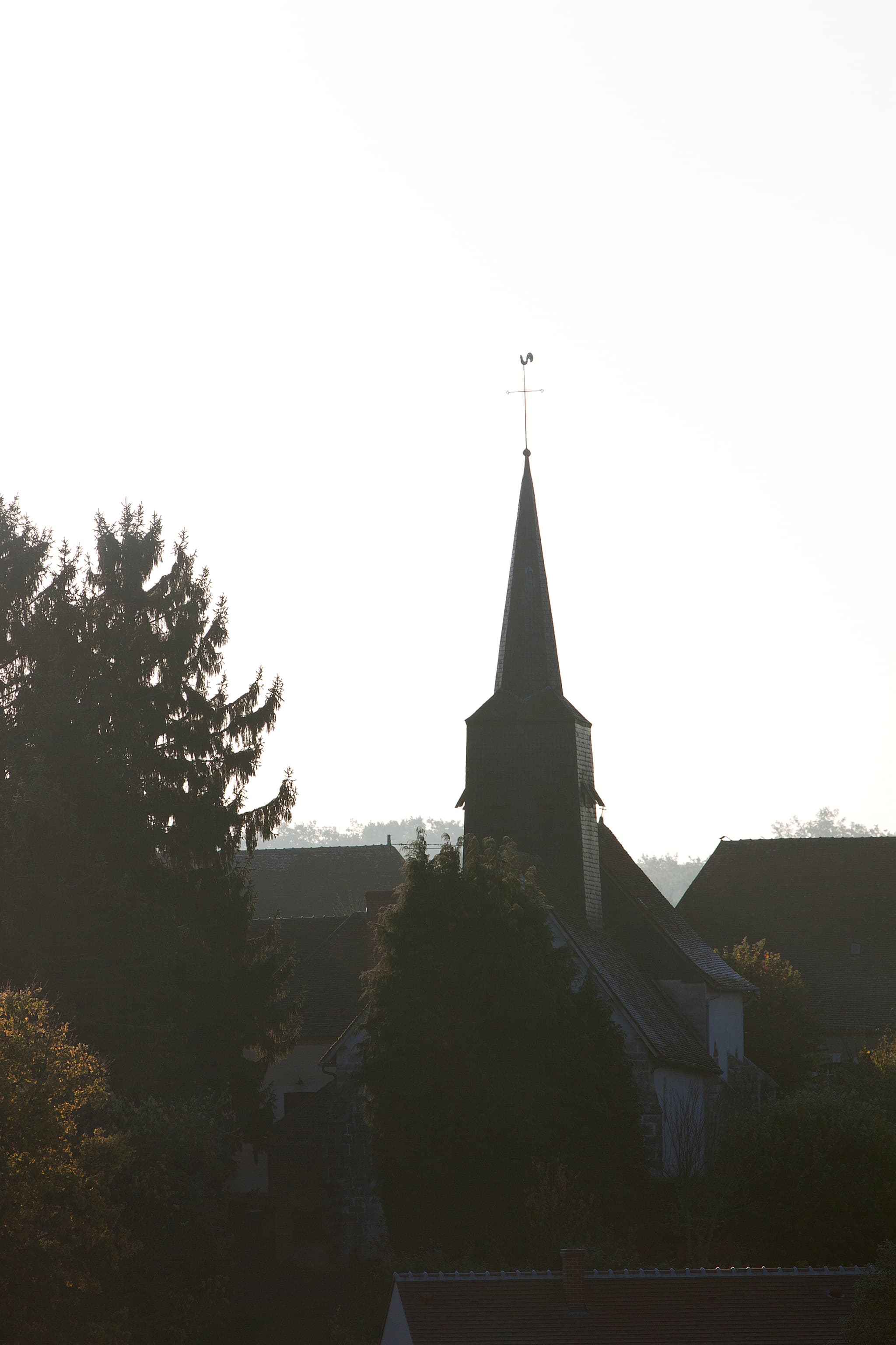 IMG_7110