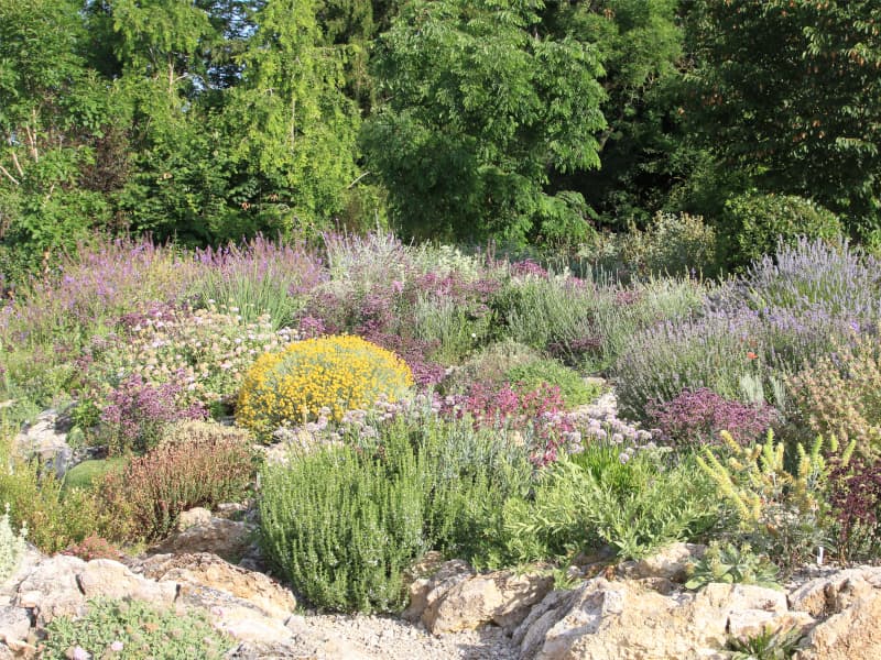 Jardin méditerranéen