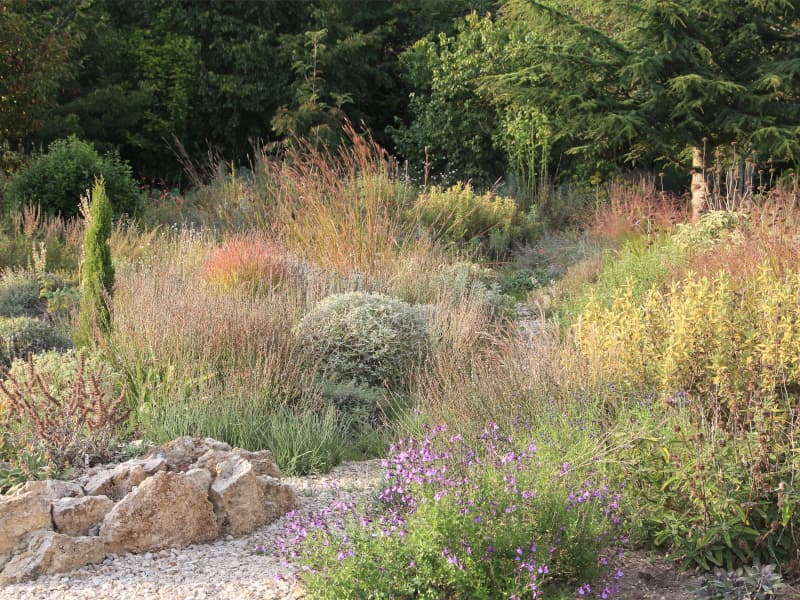 Jardin méditerranéen