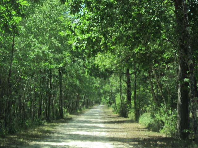 Sentier