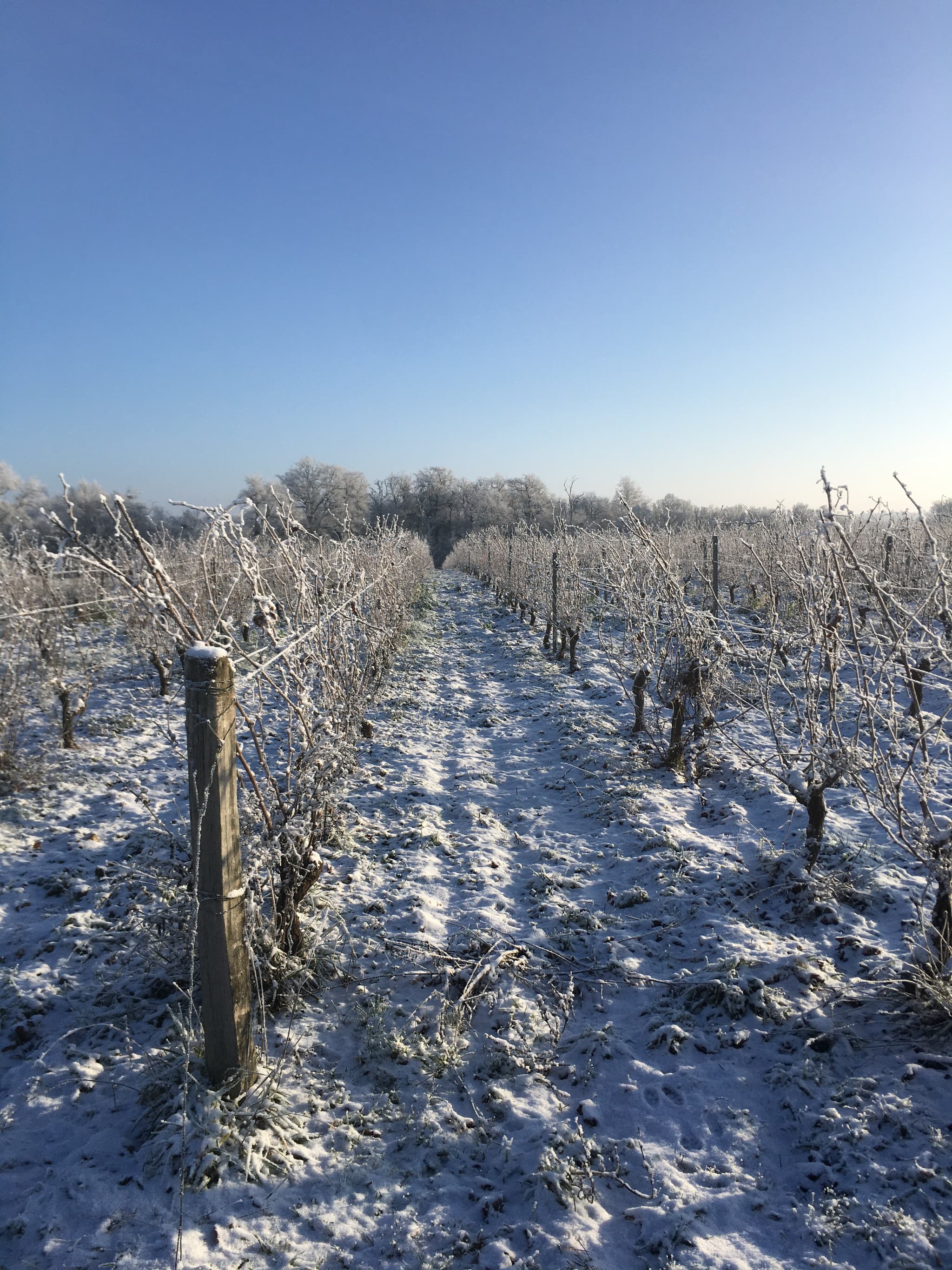 Domaine-des-Pierrettes