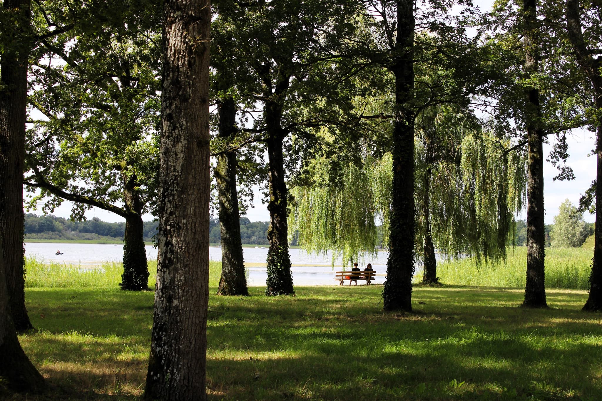 Etang du Puits