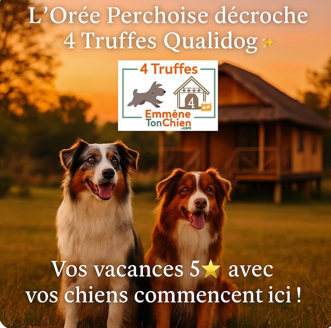 4 TRUFFES