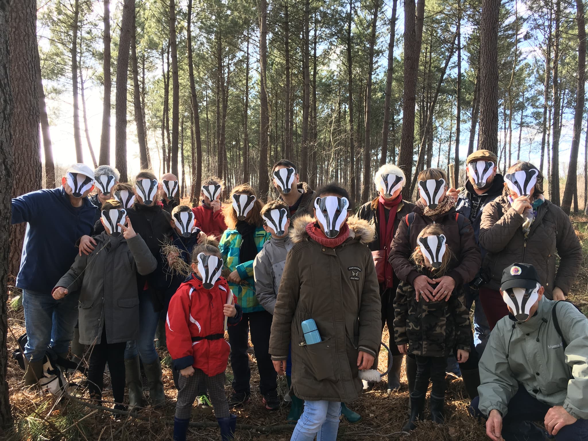 Sur les traces du blaireau