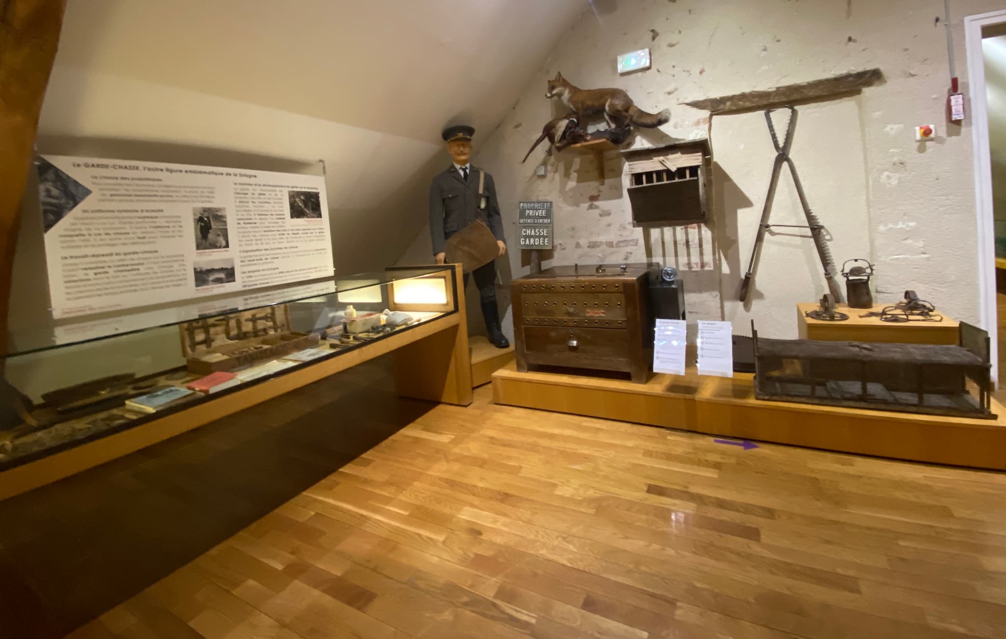 Musée de Sologne salle de la chasse